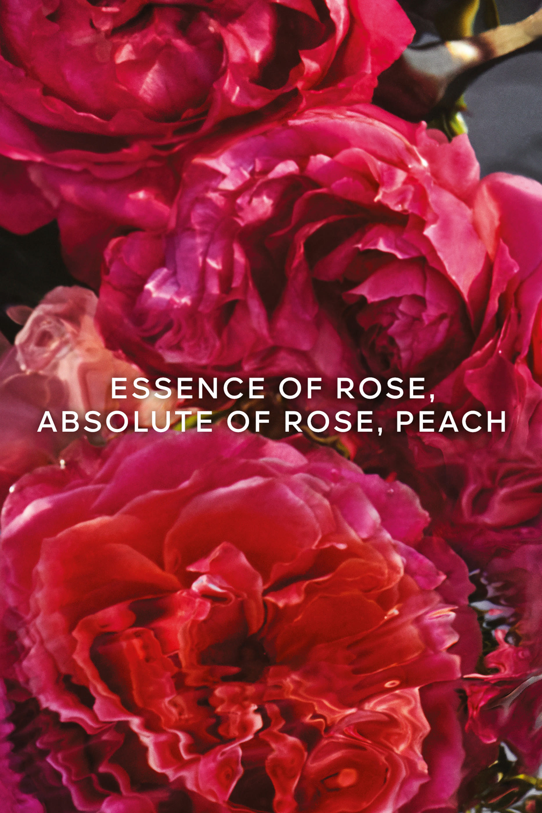 Rosa Rossa Forte Eau de Parfum 7
