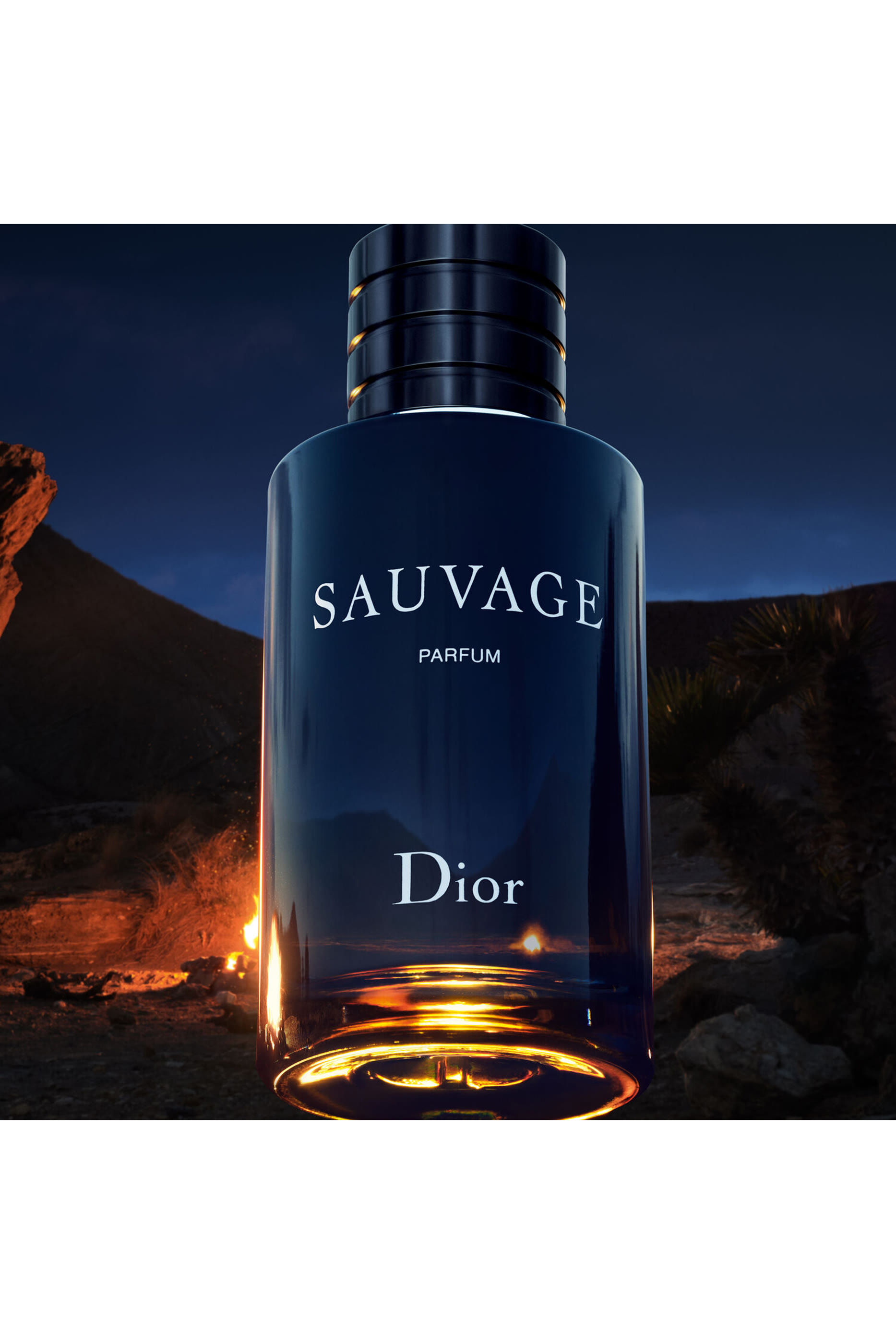Sauvage Parfum 5