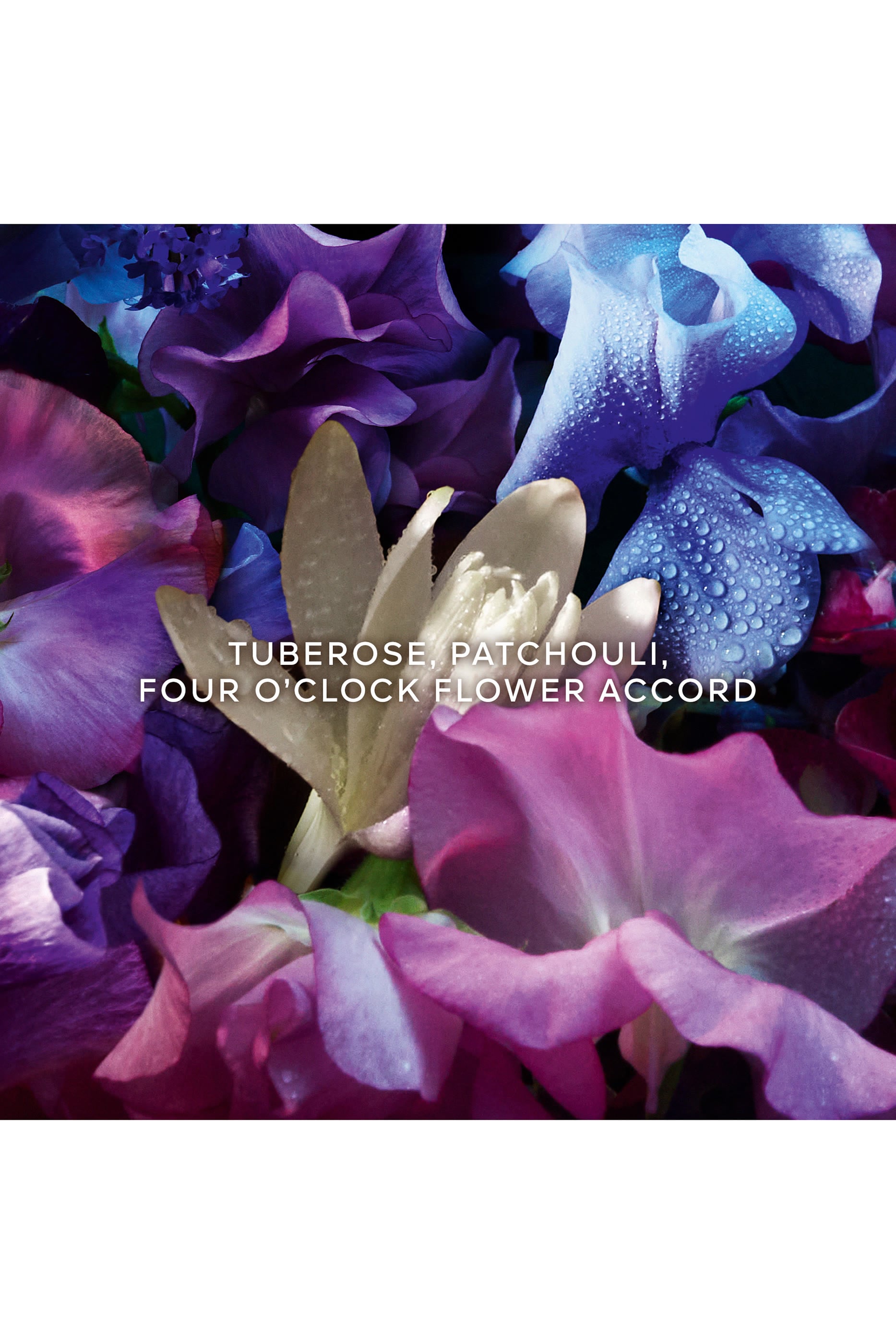 Absolus Allegoria Florabloom Absolu Eau de Parfum 3
