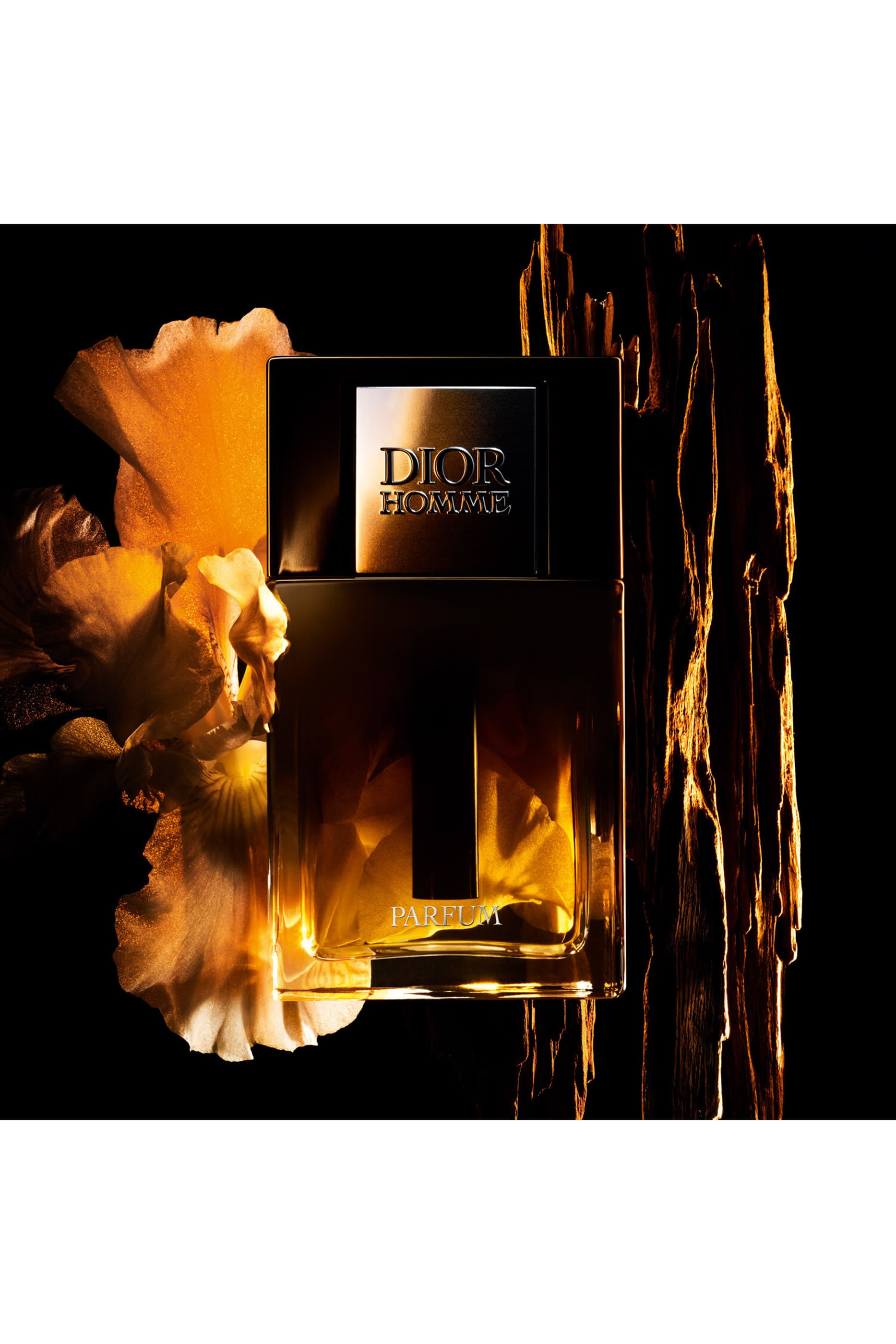 Homme Parfum 3