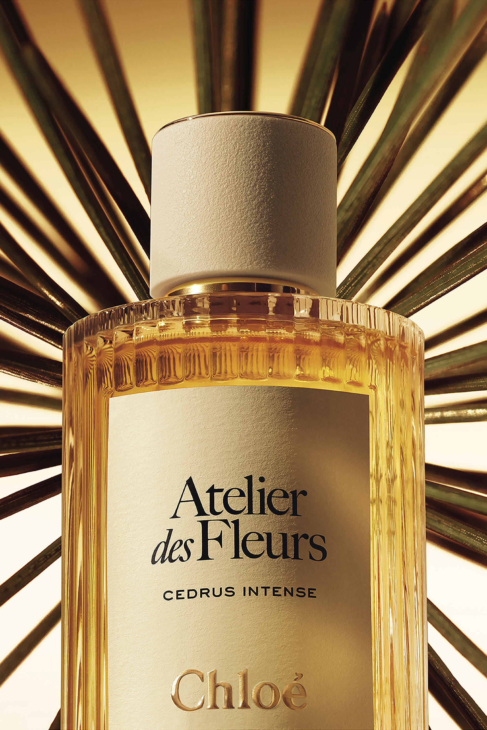 Atelier des Fleurs Cedrus Intense Eau de Parfum 5