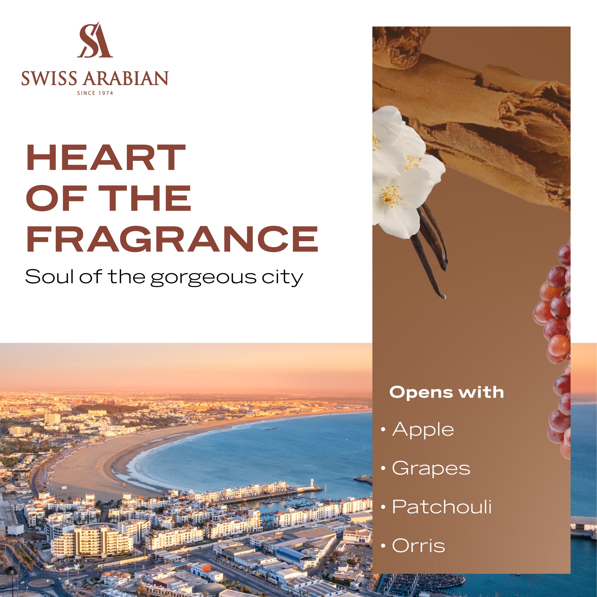 Essence Of Casablanca 5