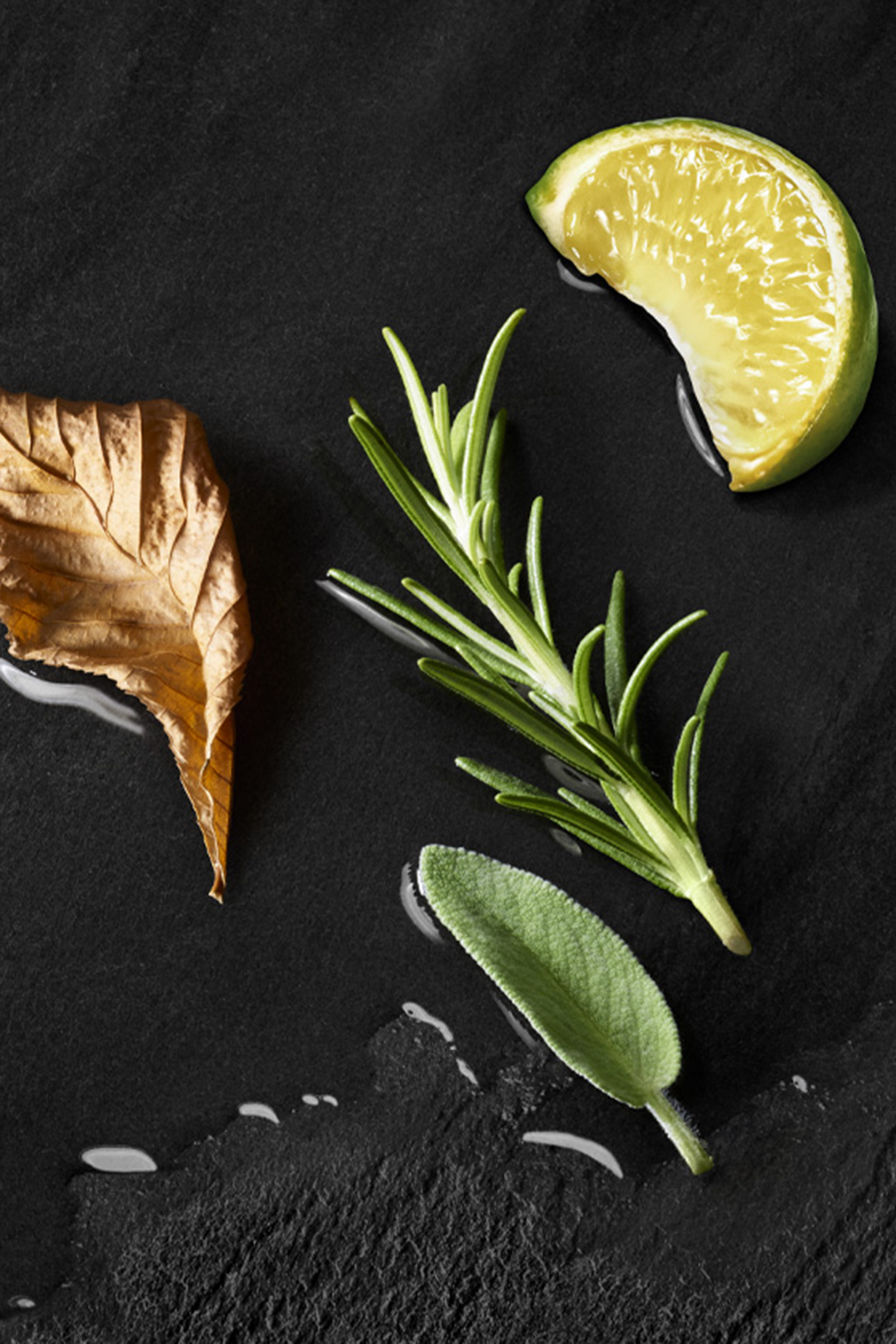 Acqua Di Gi&ograve; Parfum 3