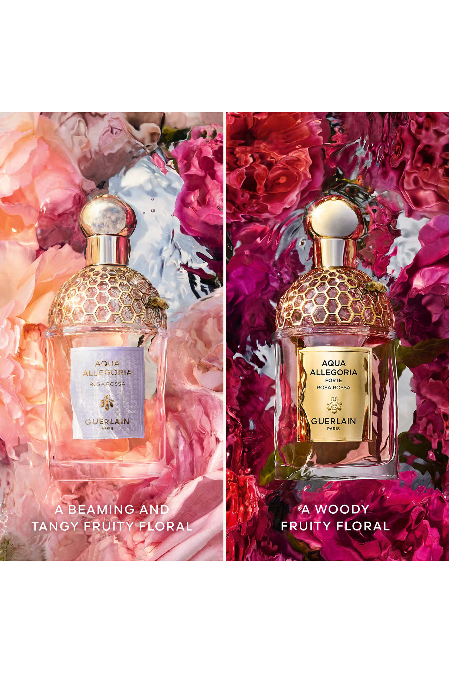 Rosa Rossa Forte Eau de Parfum 4