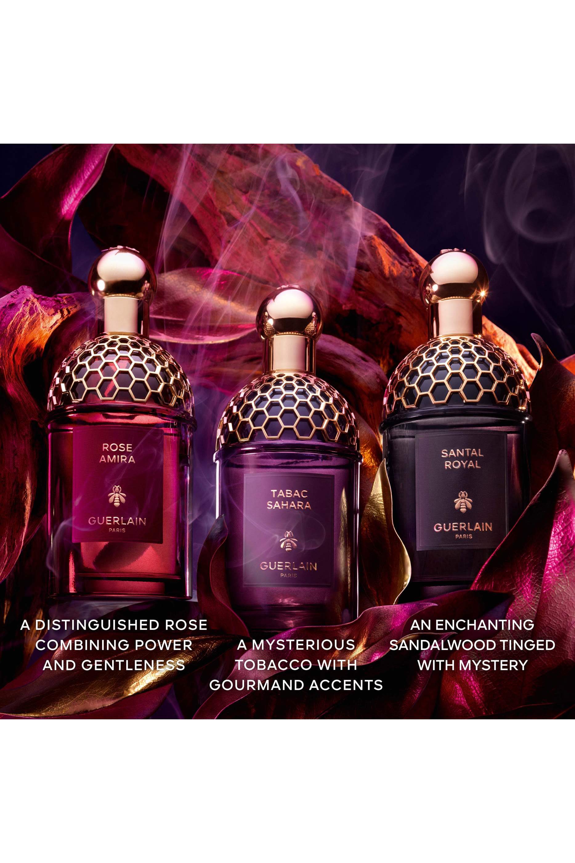 Absolus Allegoria Tabac Sahara Eau de Parfum 6