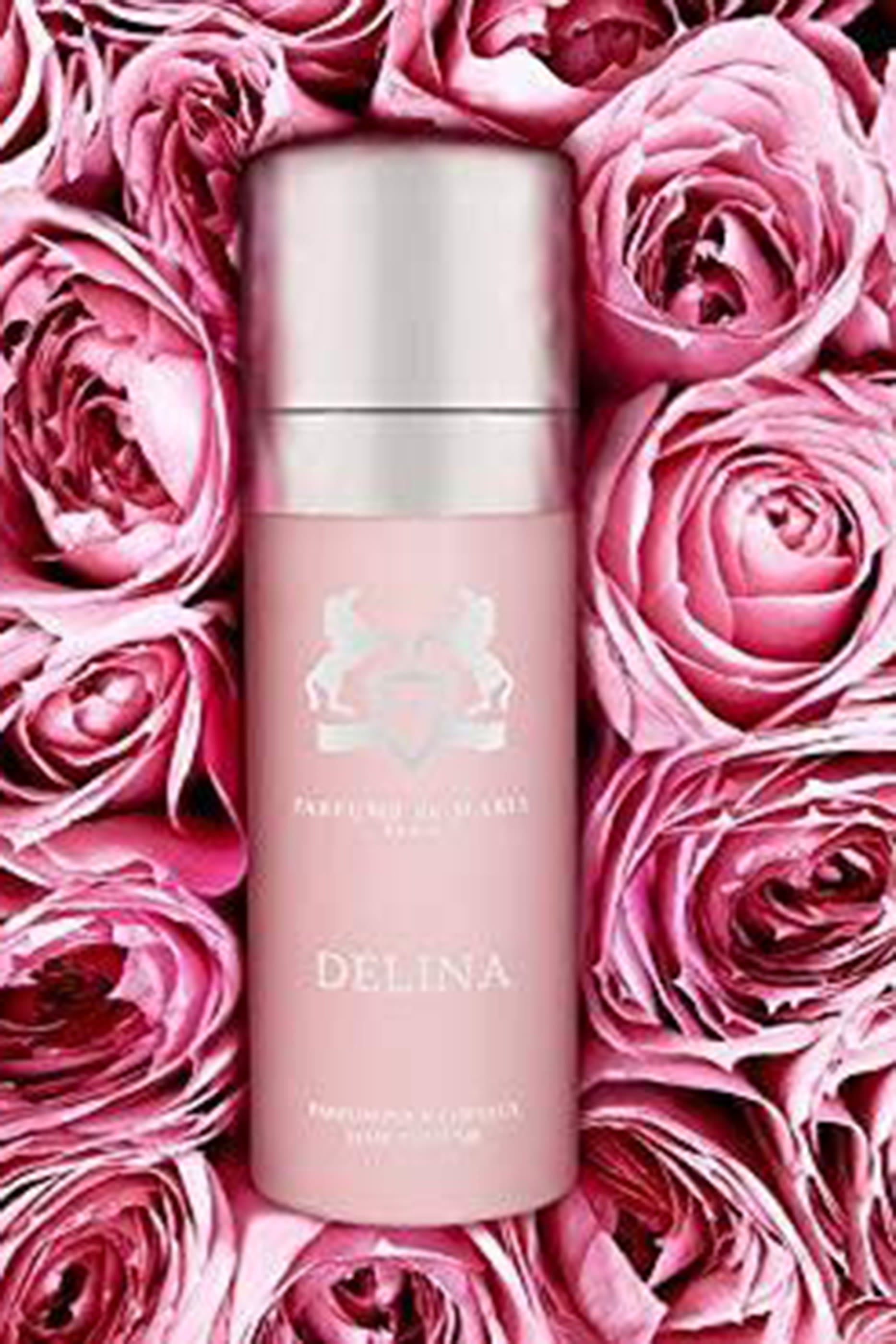 Delina Hair Mist 3
