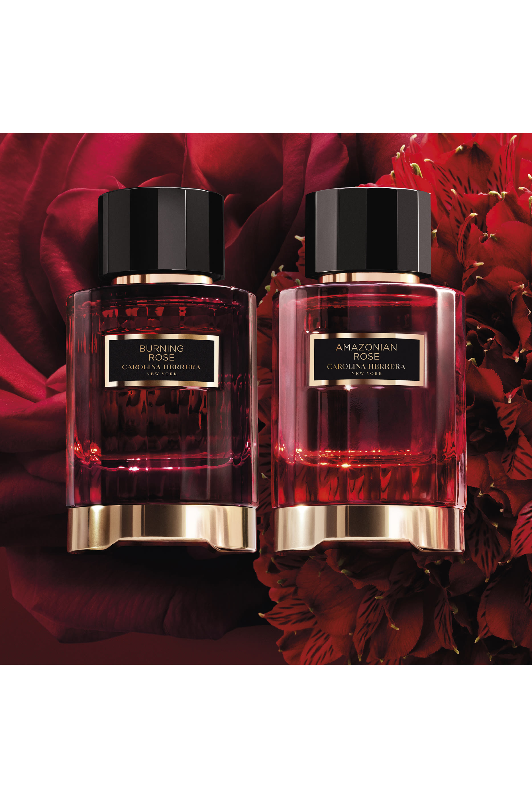 Amazonian Rose Eau de Parfum 7