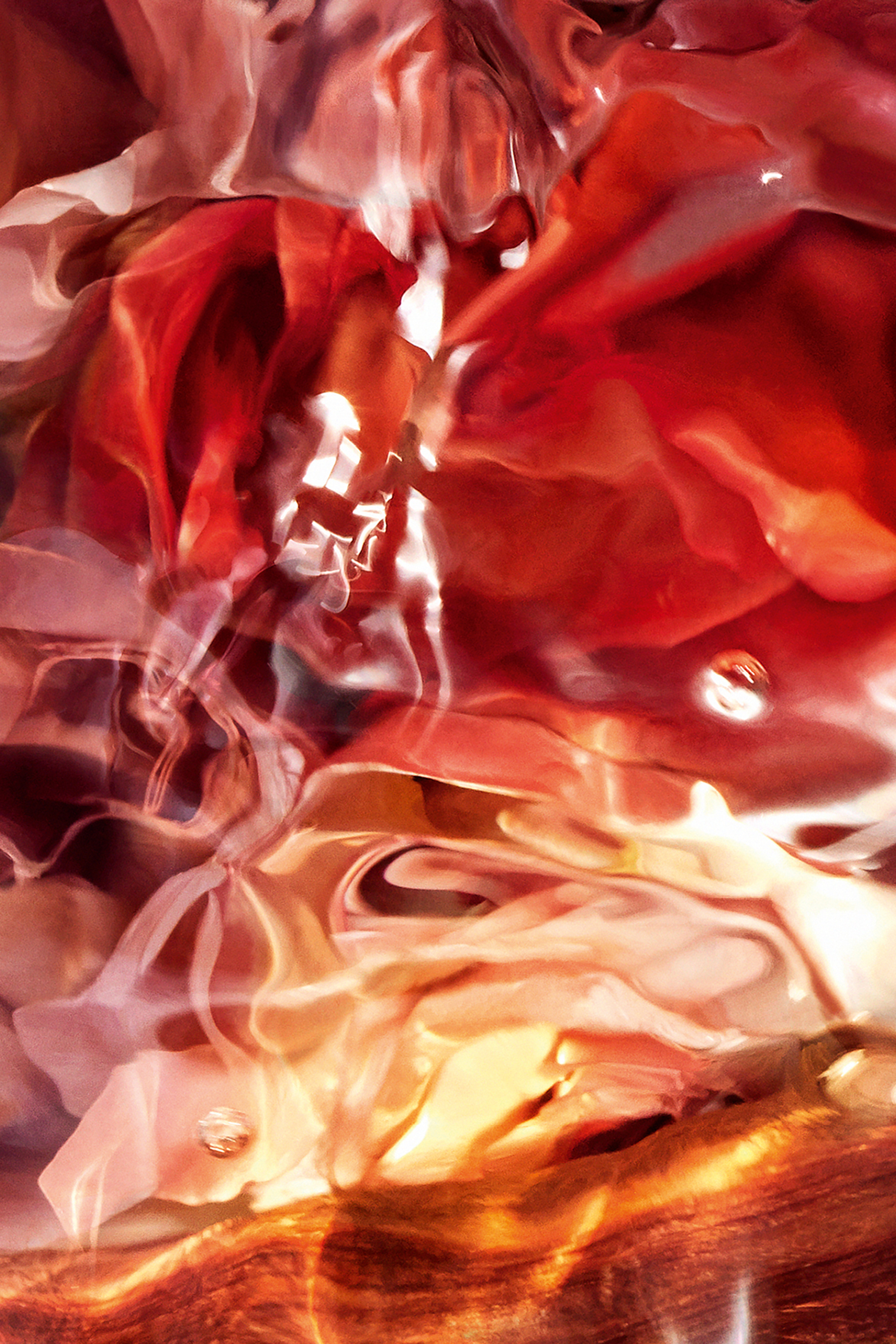 Aqua Allegoria Forte Rosa Palissandro Eau de Parfum 8