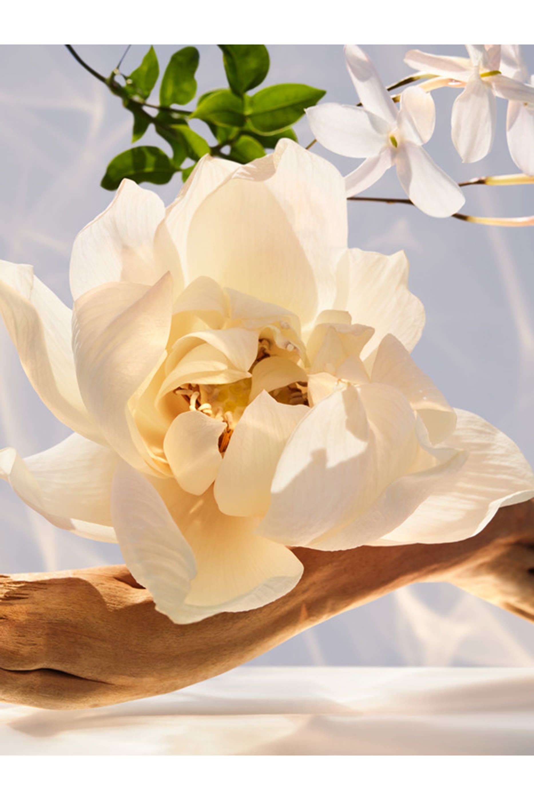 Omnia Crystalline Eau De Parfum 3