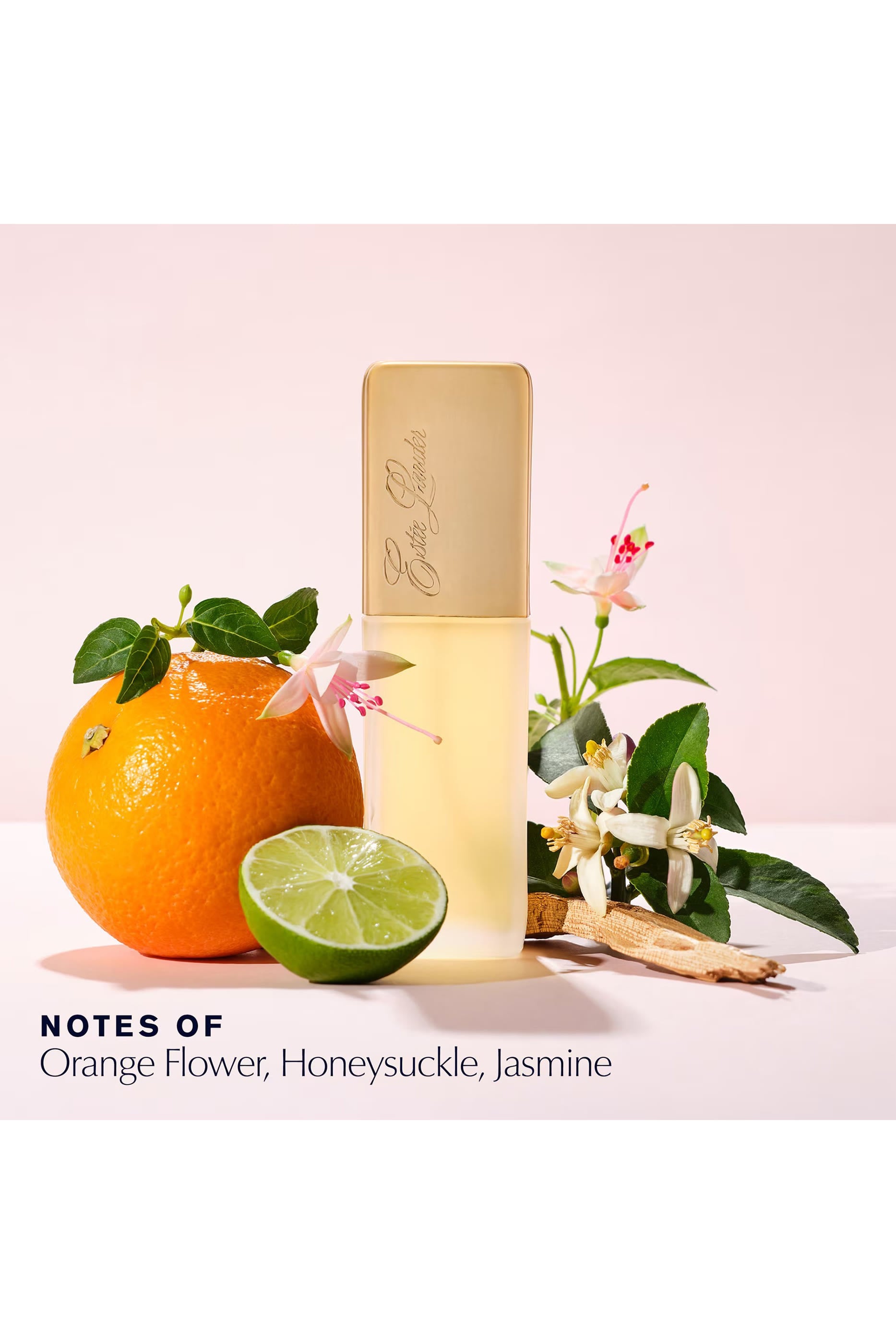 Private Collection Eau de Parfum 2