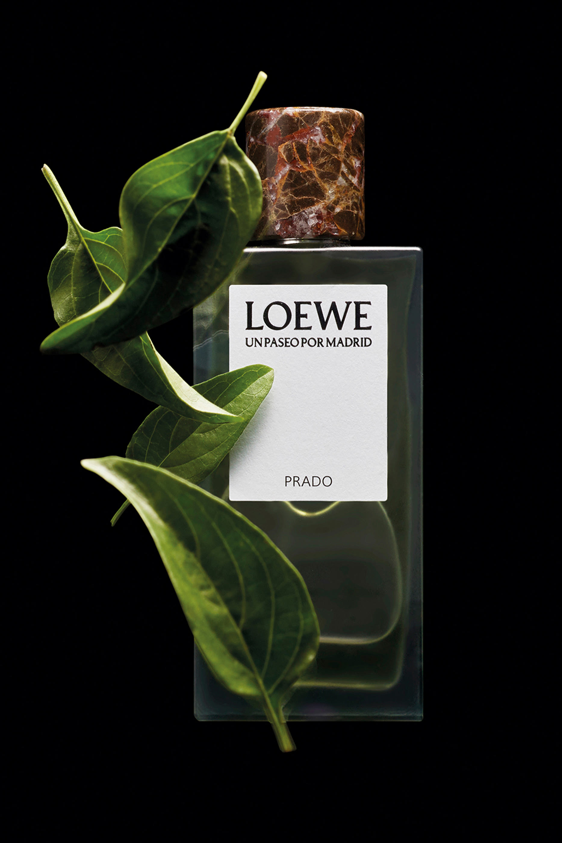 Un Paseo por Madrid Prado Eau de Parfum 5